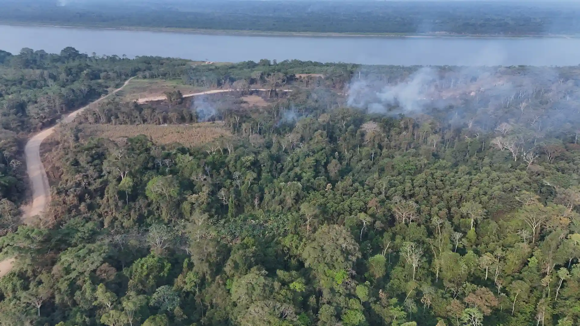 Incendios forestales en la Amazonía alcanzó récord en 2024