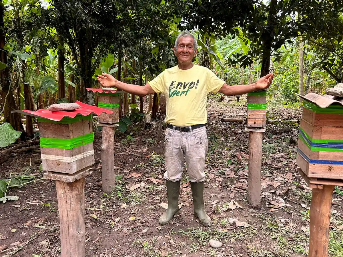 Productor de Pueblo Nuevo desarrolla la crianza de abejas nativas