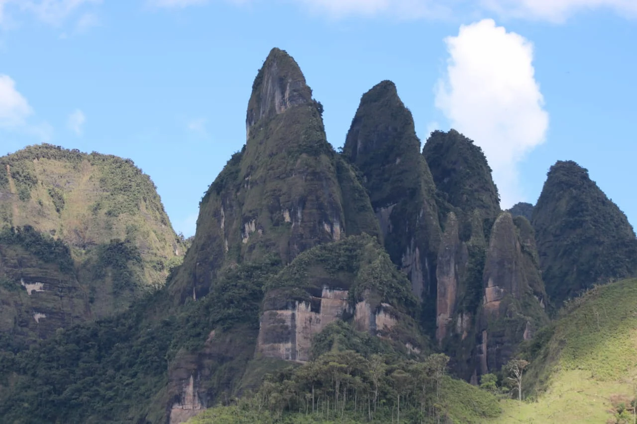 Video impulsa turismo y conservación ambiental en festival de cine