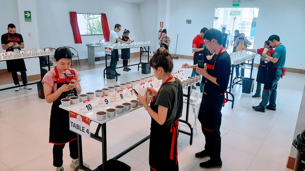 Baristas, catadores y productores compiten en la Ficafé