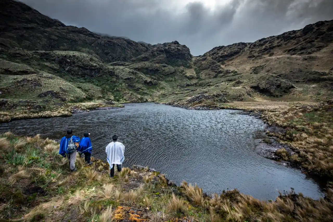 Especialistas buscan frenar la degradación de bosques en Cajamarca