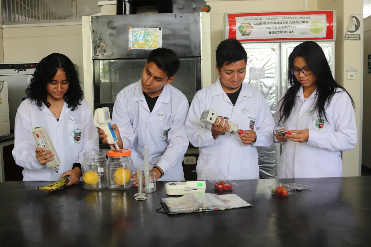 El alimento andino que podría erradicar la desnutrición