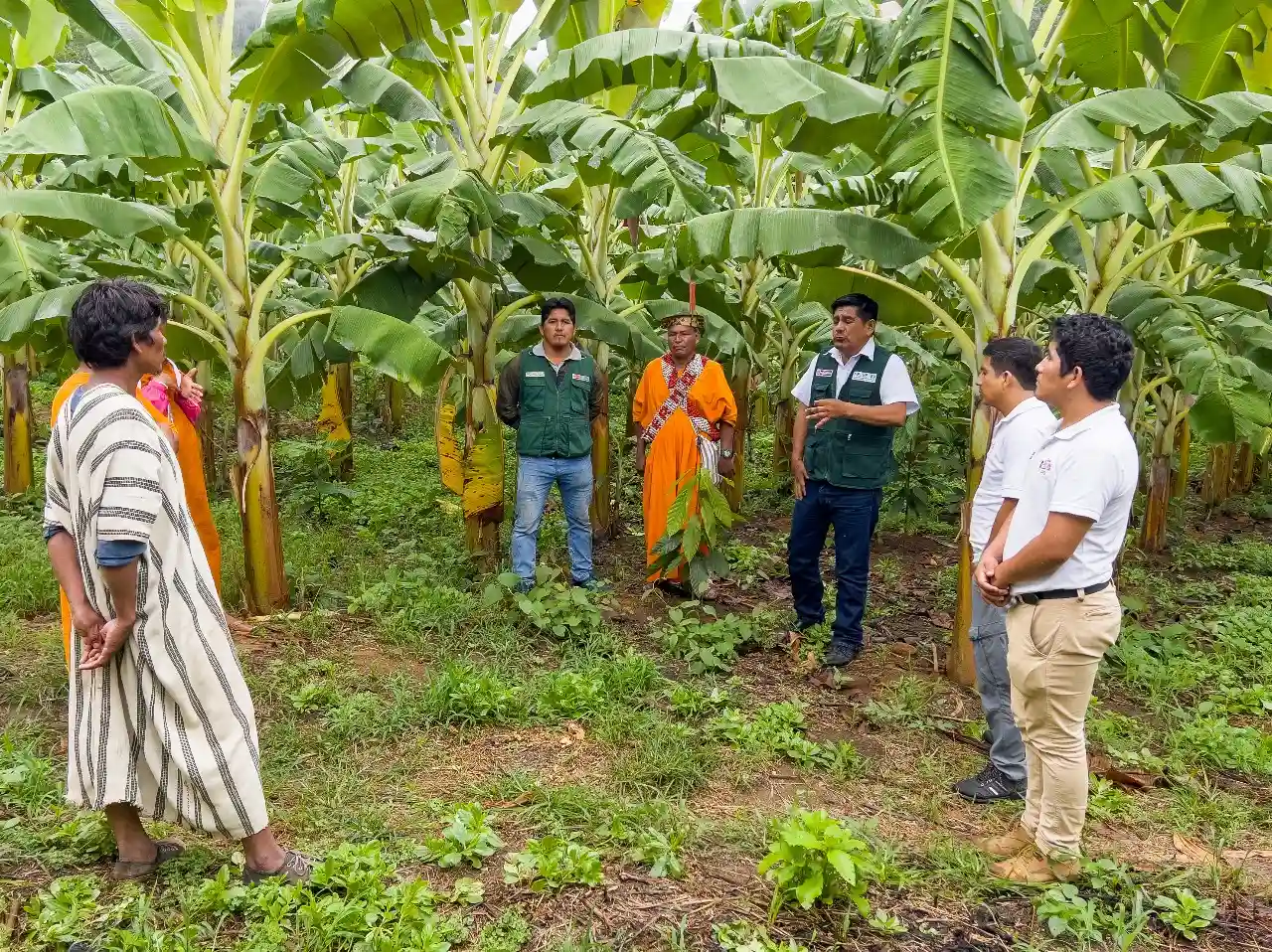 Refuerzan trabajo con comunidad nativa para impulsar desarrollo agrícola