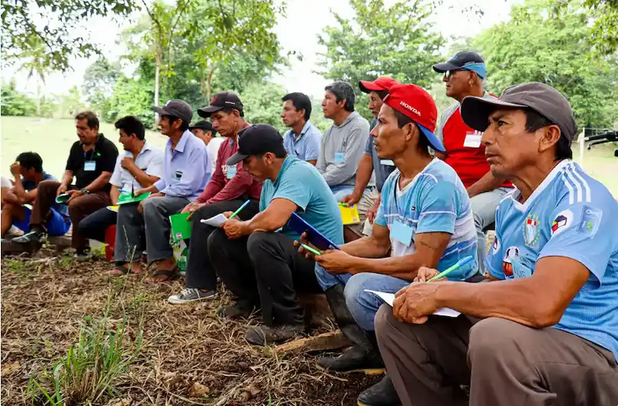 USAID promueve proyectos en Perú para promover sostenibilidad y desarrollo_1 (1)