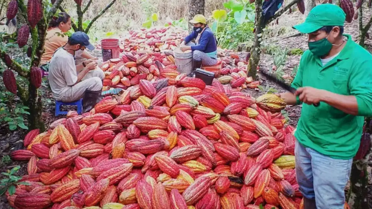 Desafíos y oportunidades en un año de precios históricos
