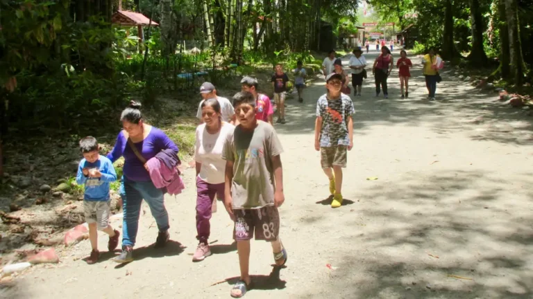 Parque Nacional Tingo María recibirá a más de 160 000 turistas al cierre de este año