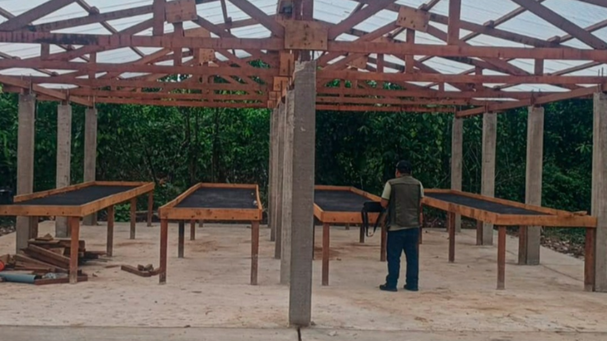 Cacaoteros de Curimaná modernizan producción con módulos de procesamiento