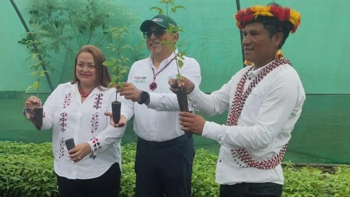 Entregan fondos de S742 500 a pueblo Awajún para desarrollo forestal