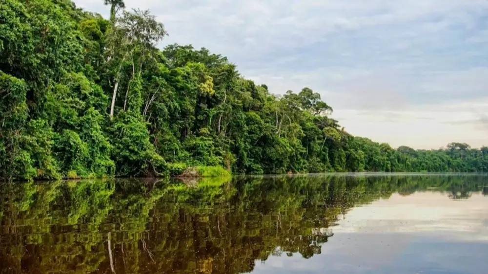 Amazonía peruana necesita un plan de desarrollo