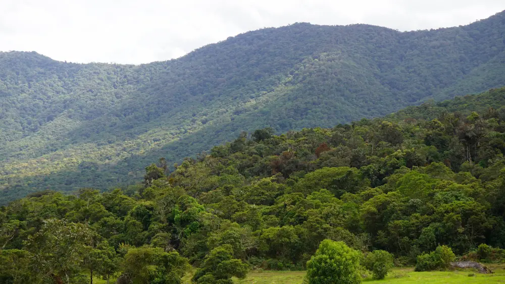 Buscan zonificar 62.9 millones de hectáreas para manejo sostenible de bosques