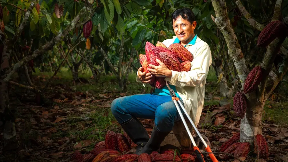 5739 familias recibieron asistencia técnica y tecnología agrícola durante el 2024