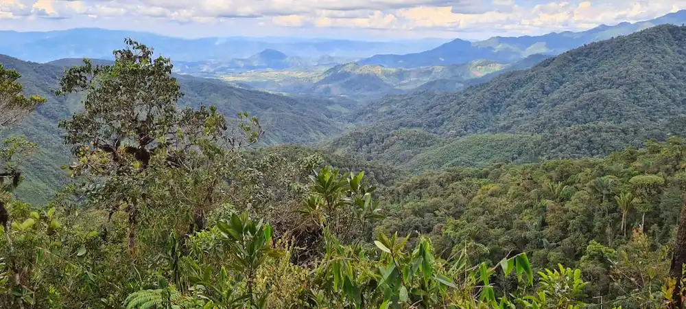 Parque Nacional Otishi cumple 22 años protegiendo biodiversidad amazónica y andina