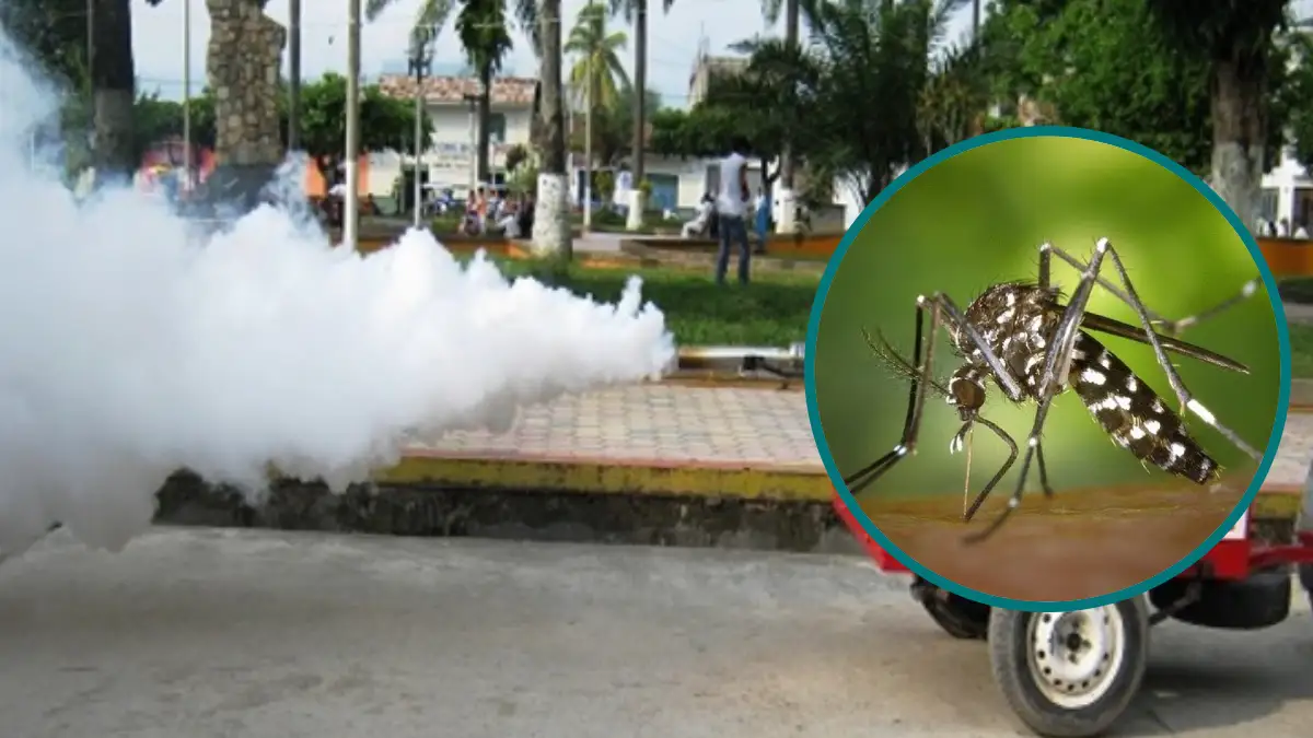 San Martín registra 424 casos de dengue y 47 hospitalizados en inicio de 2025