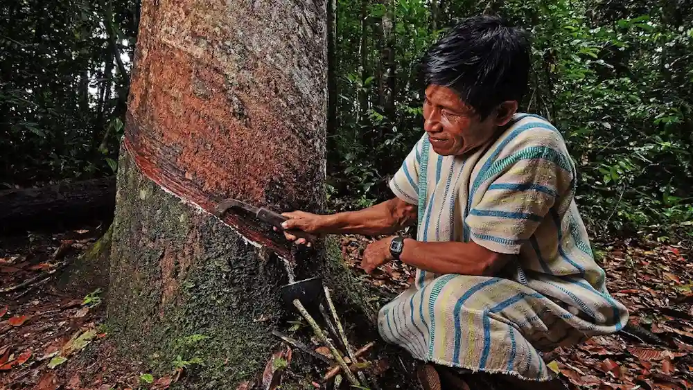 Herramienta fortalece la cogestión en las reservas comunales-