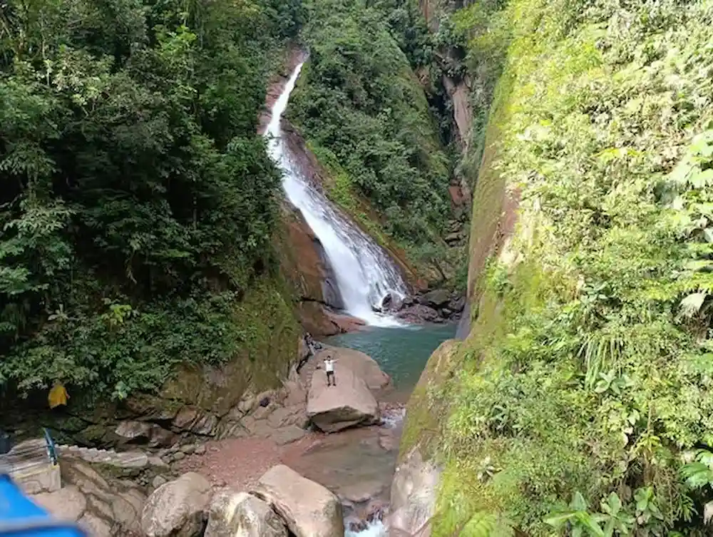 Nueva área de conservación protegerá 14 000 hectáreas de bosque_1