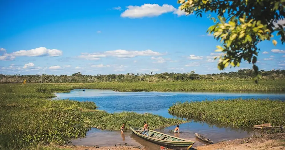Ucayali fortalece lucha contra cambio climático con estrategia regional