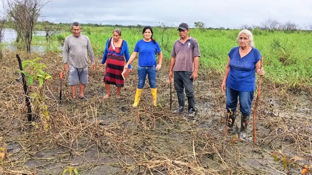 Ucayali Desborde de ríos arrasa con cultivos en Manantay y Yarinacocha