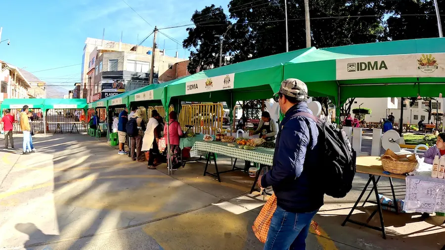 Realiza primer monitoreo a ferias agroecológicas para evaluar presencia de pesticidas en Huánuco_2